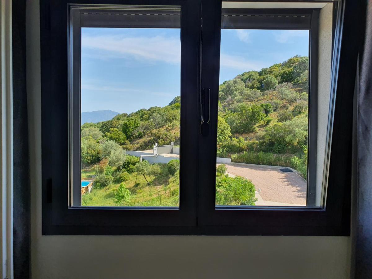 Appartement F2 Avec Terrasse De 35 M2 Bomorto - Porticcio Porticcio  Exterior foto