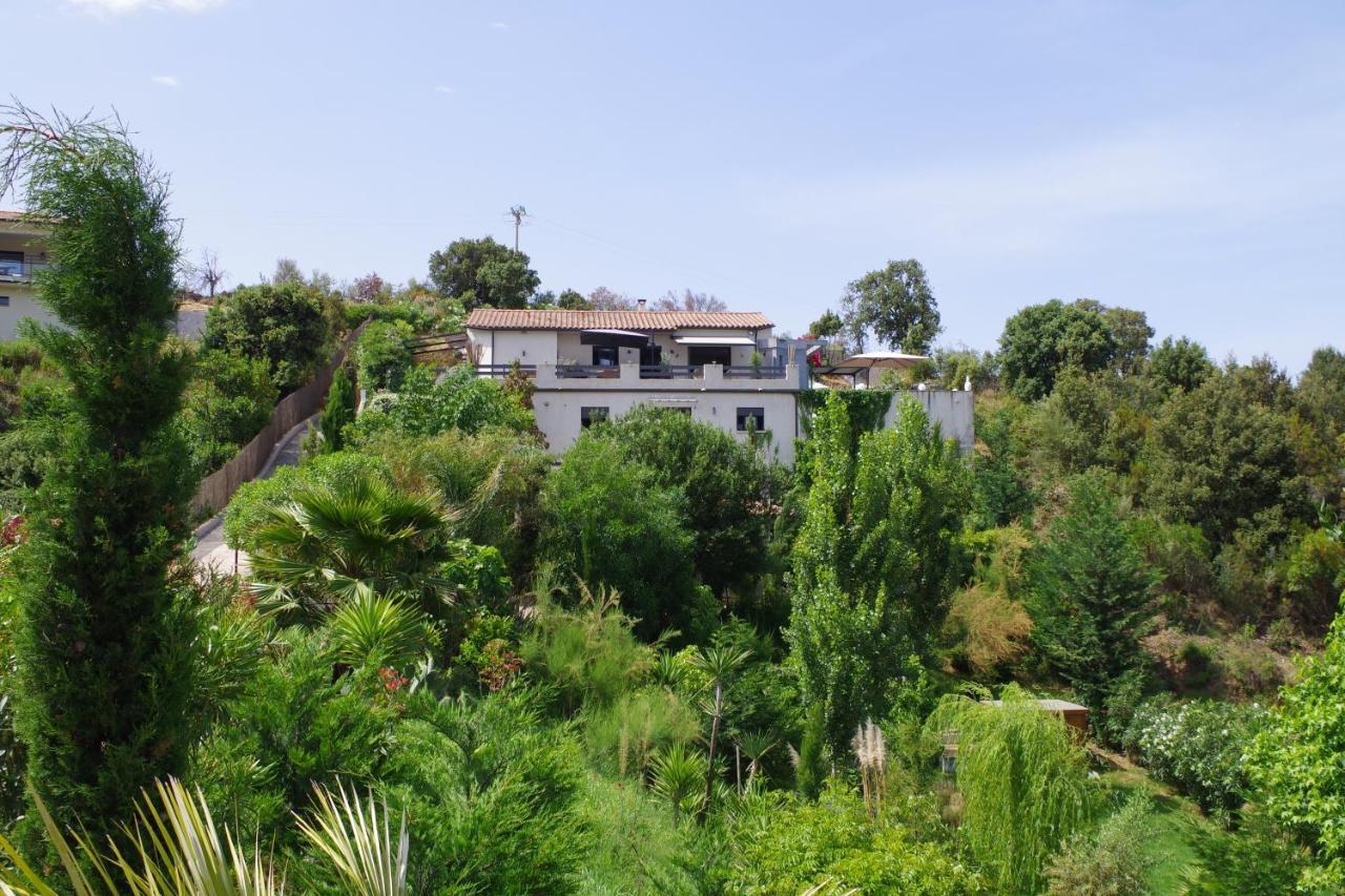 Appartement F2 Avec Terrasse De 35 M2 Bomorto - Porticcio Porticcio  Exterior foto